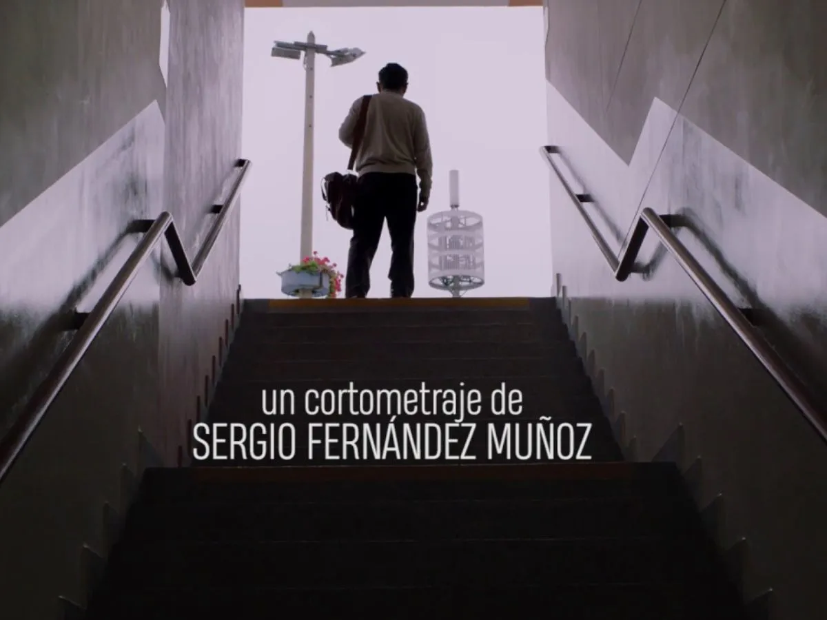 5 Cortometrajes Brillantes que Casi Nadie Ha Visto (Pero Deberían)